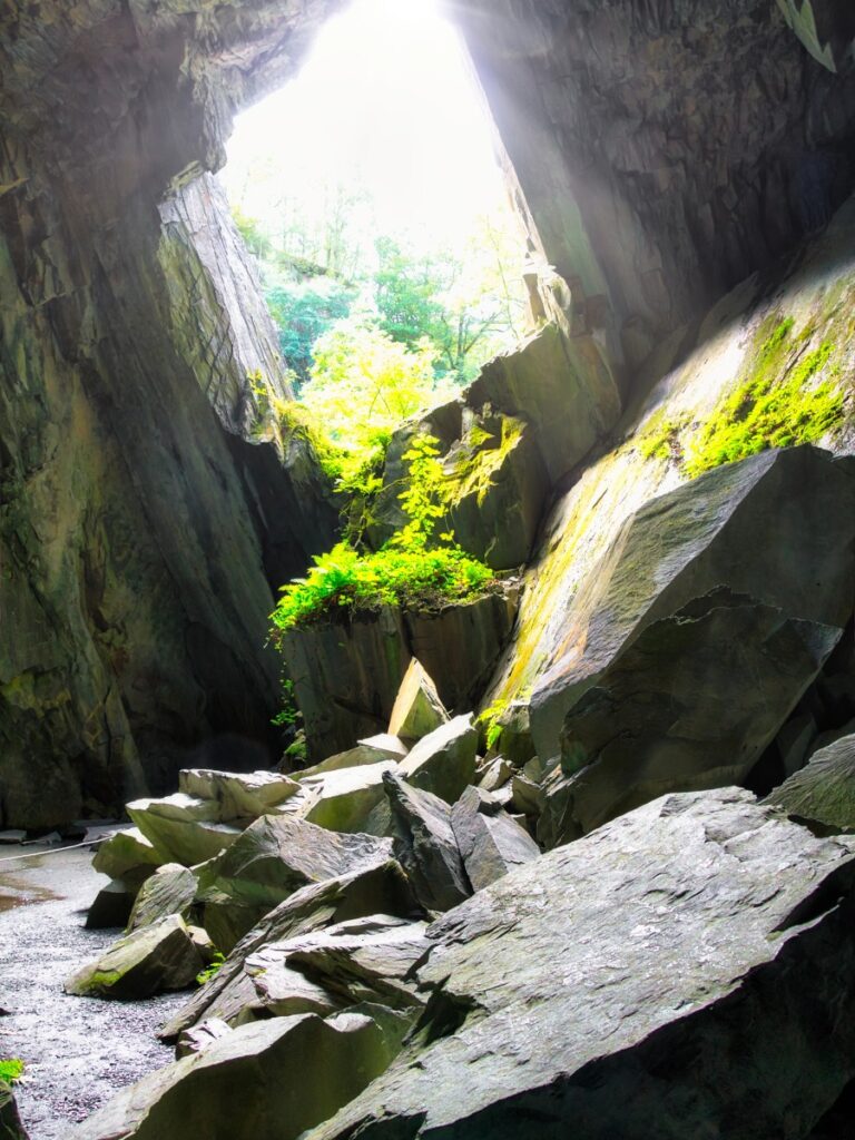 Cathedral Cave