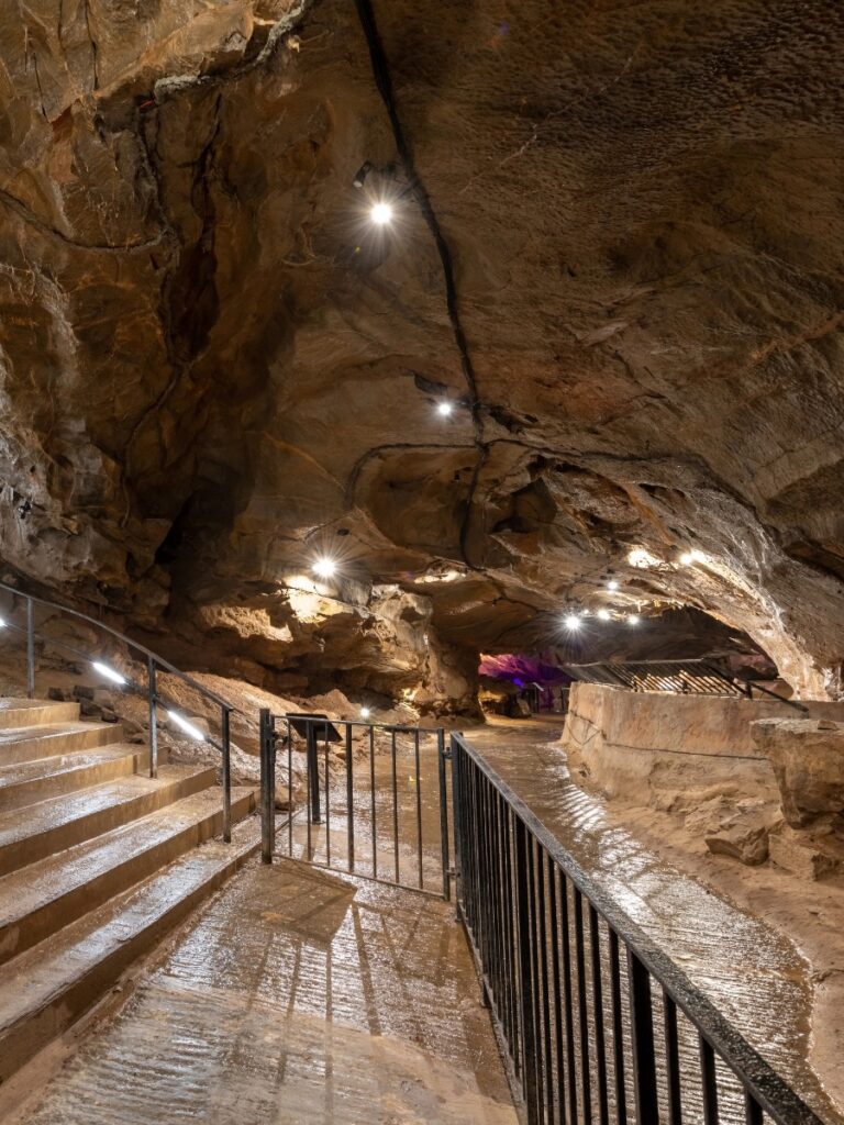 Goughs Caves