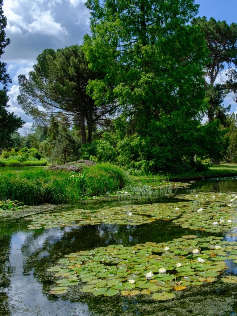 Cambridge University Botanic Garden