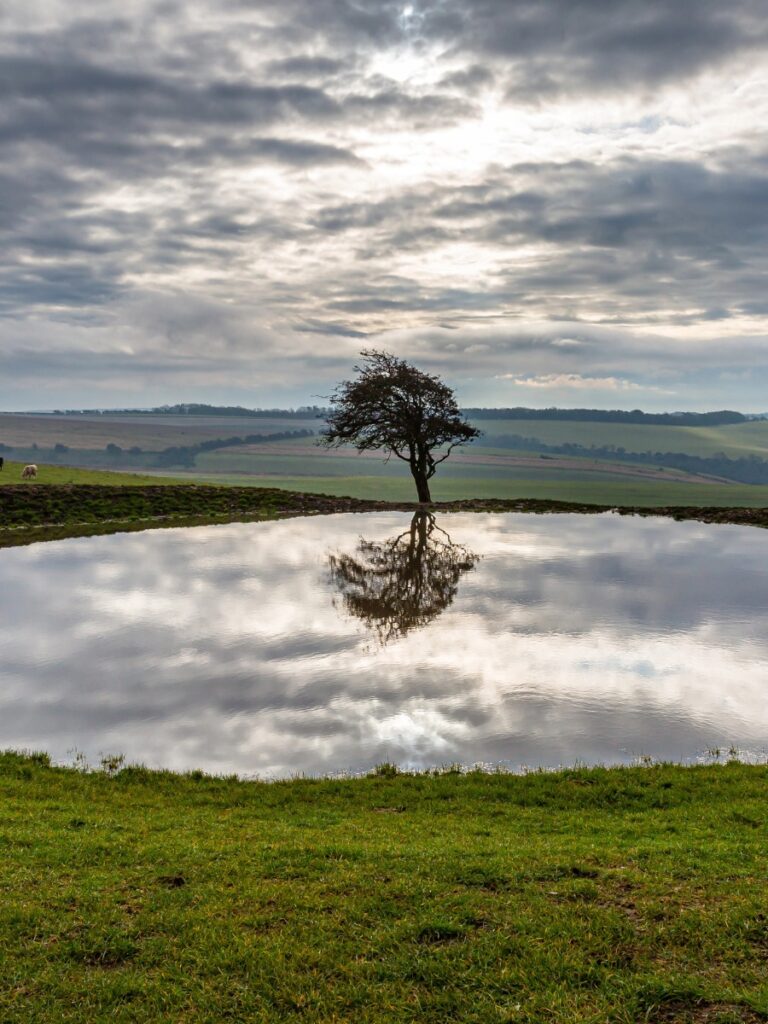 Ditchling Beacon