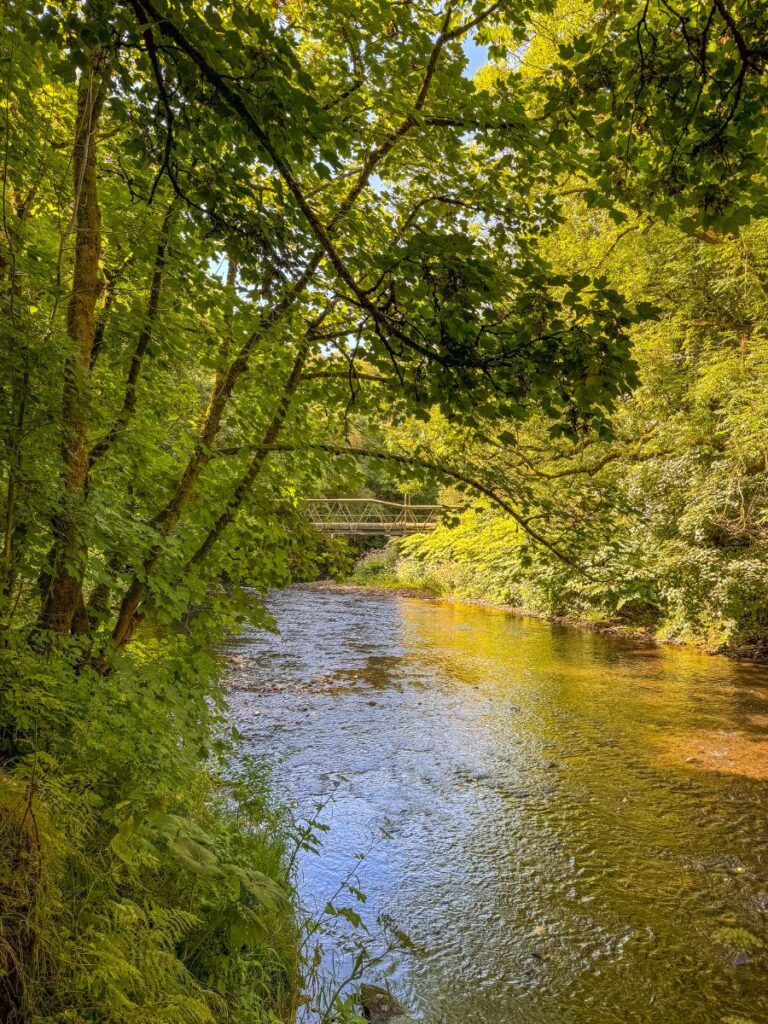 Irwell vale