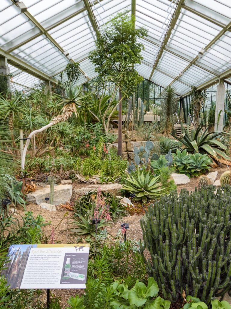 Kew Gardens
