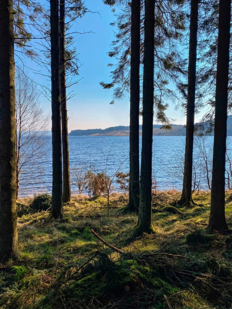 Kielder Water