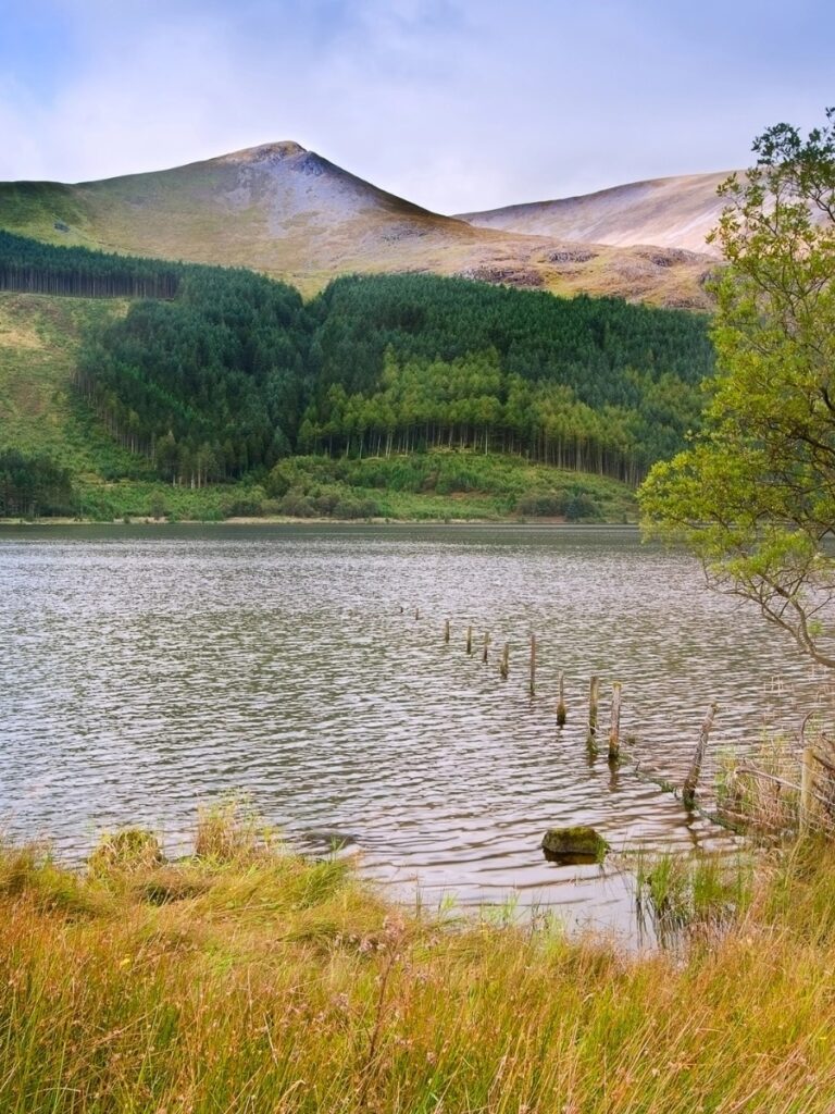 Llyn Cwellyn
