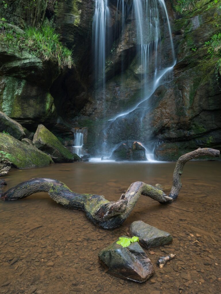 Roughting Linn