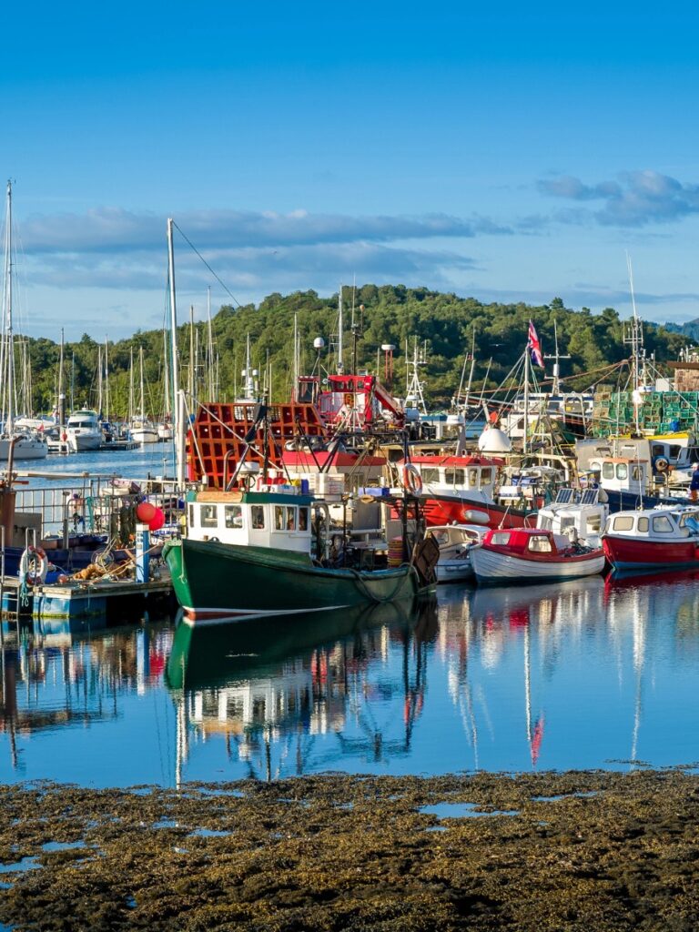 Tarbert