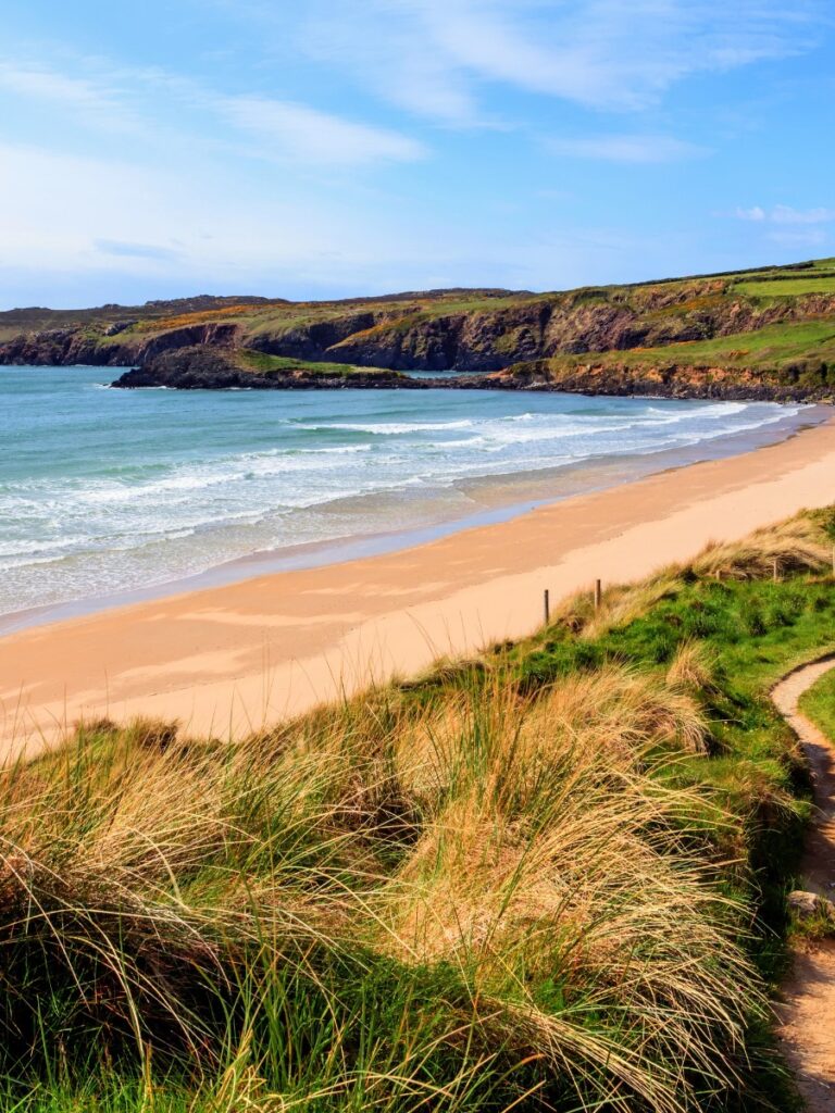 Whitesands Beach