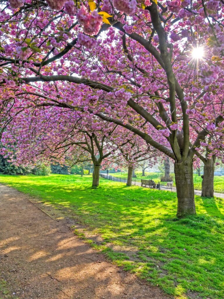 hyde park