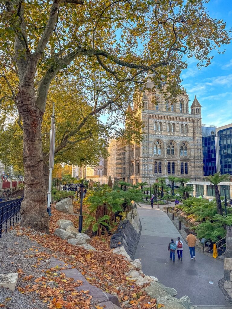 natural history museum