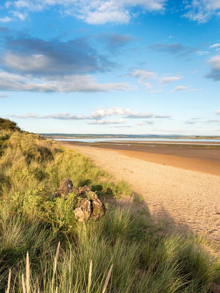 Braunton