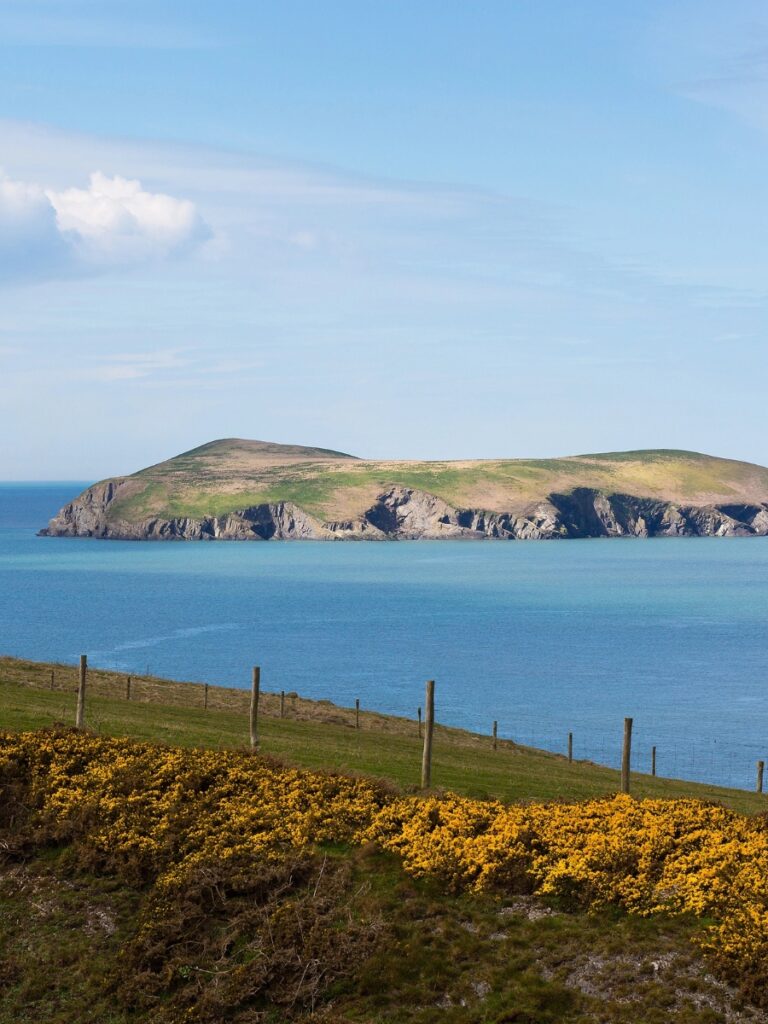 Cardigan Island