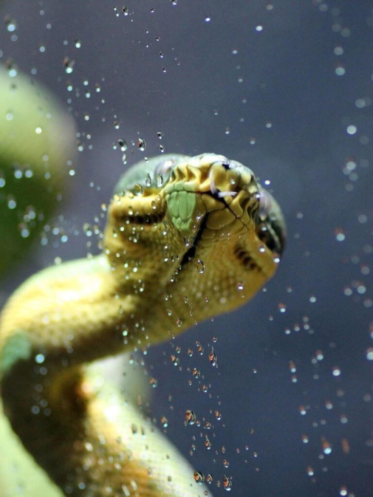 London Zoo