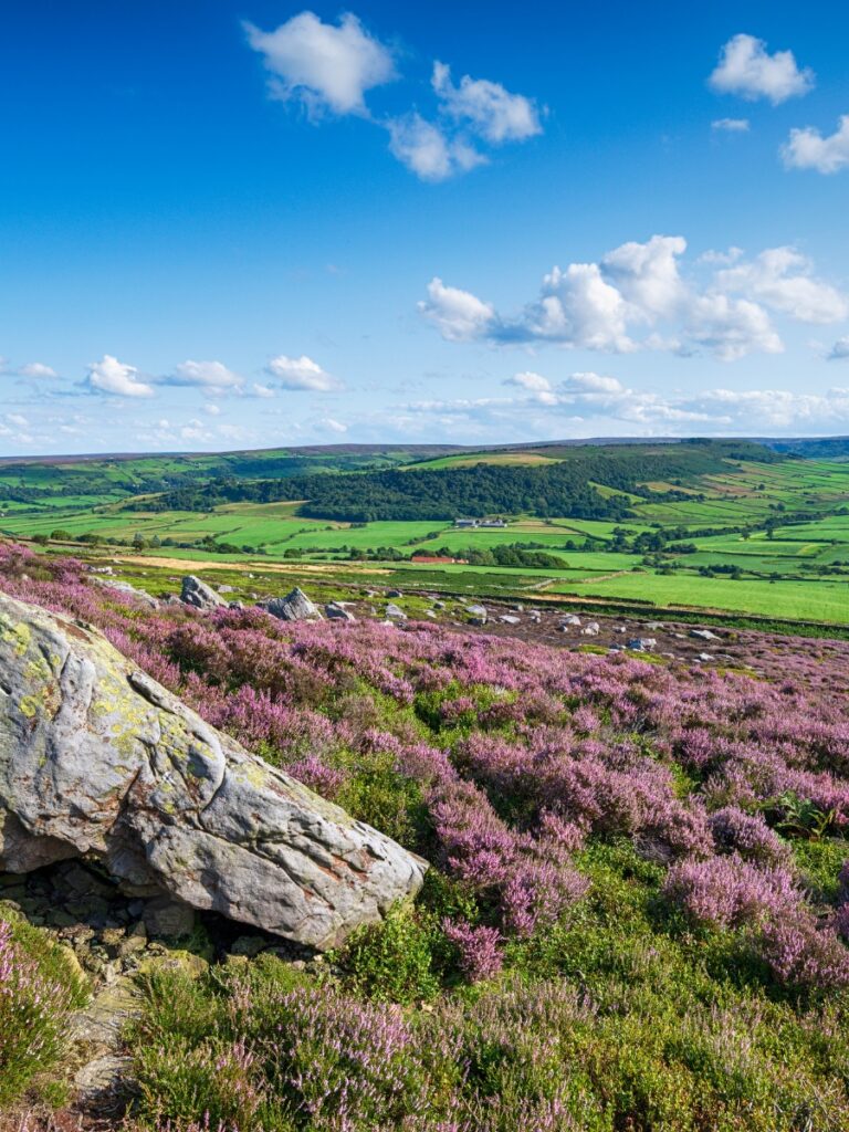 North York Moors national park