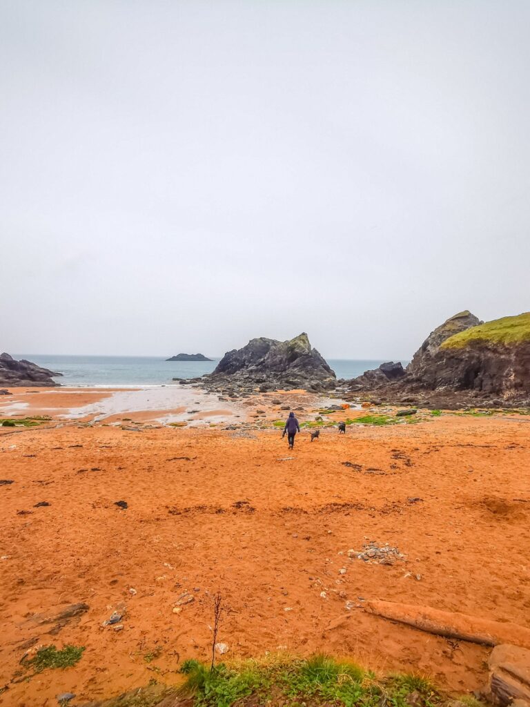 Soar Mill Cove