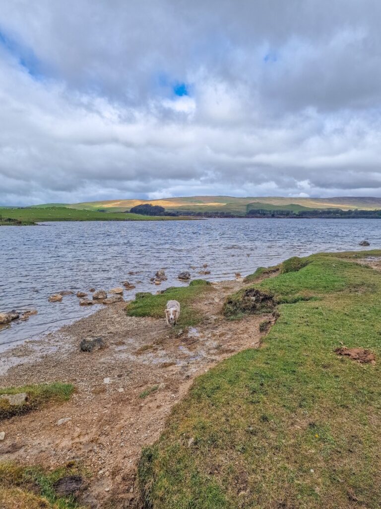 malham tarn