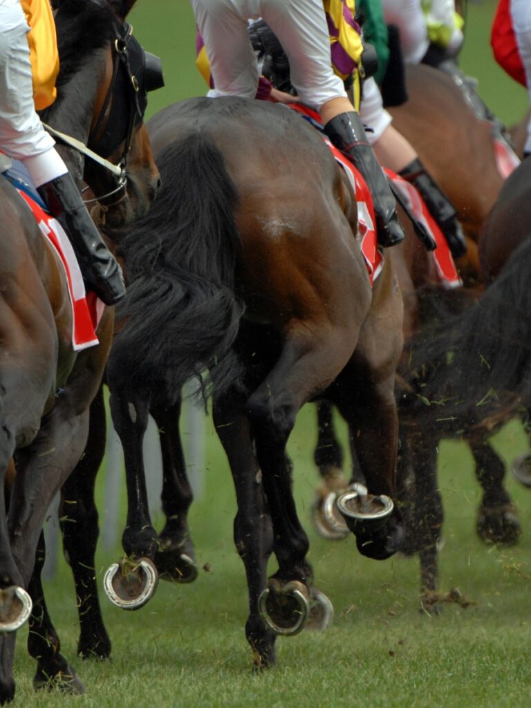 Ascot