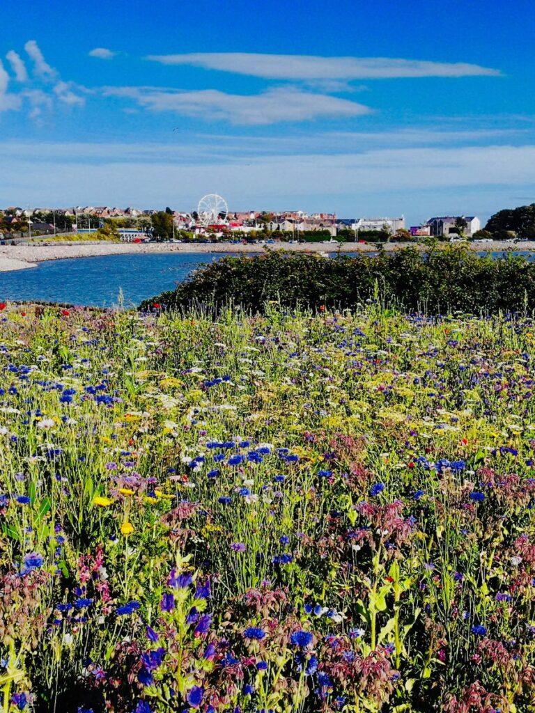 Barry Island