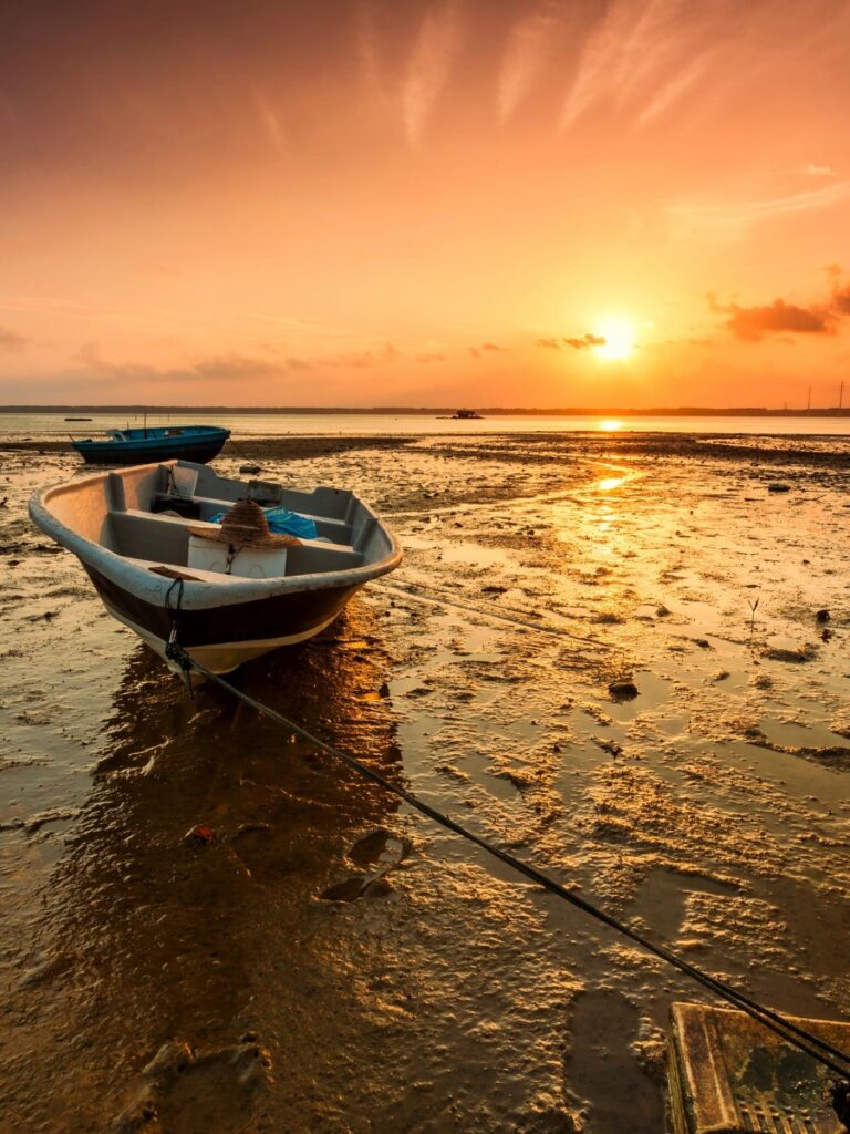 Dungeness Beach