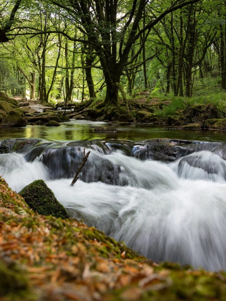 Golitha Falls