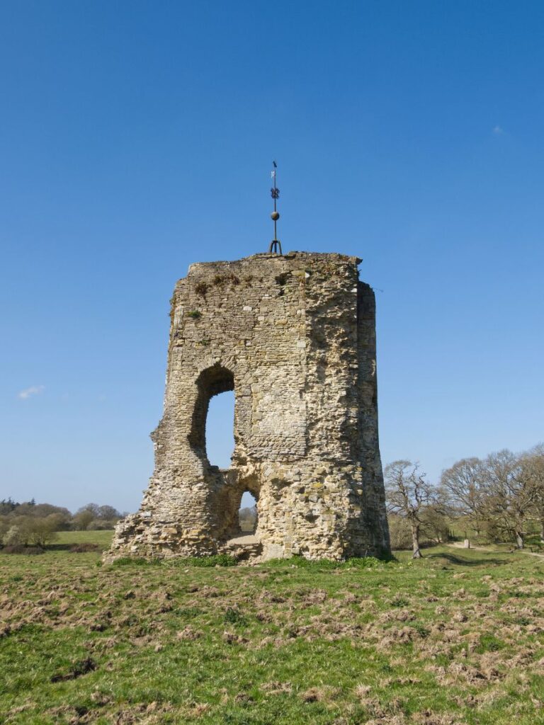 Knepp Castle