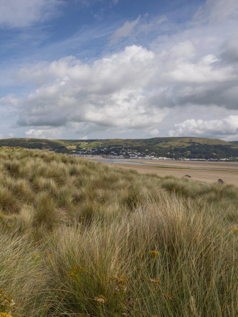 Ynyslas Sand Dunes