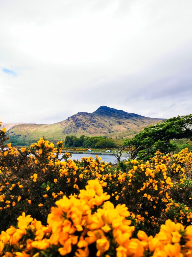 isle of mull