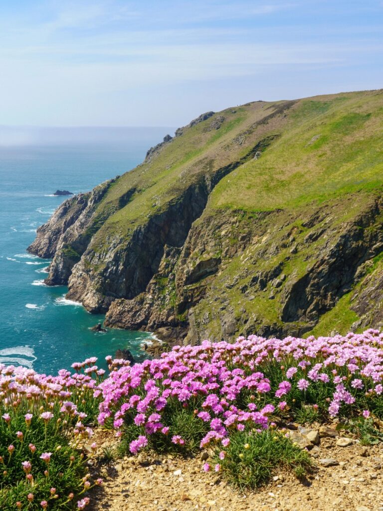lundy island in devon