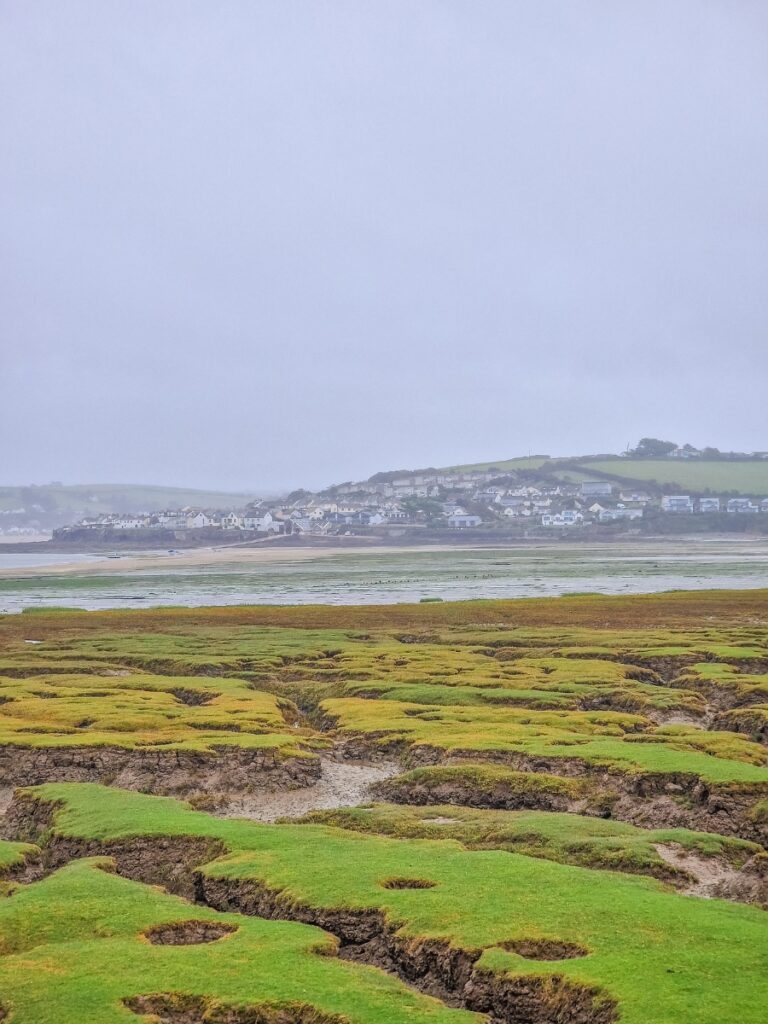 Northam Burrows Country Park
