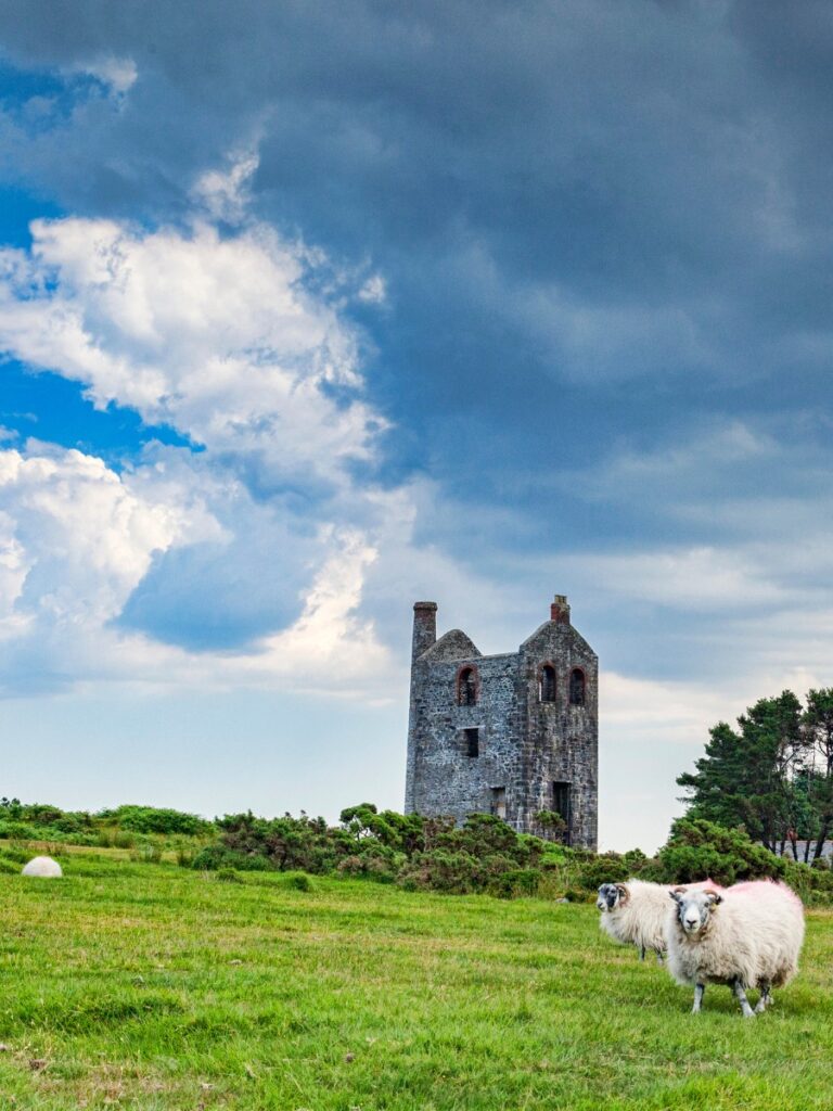 Bodmin Moor