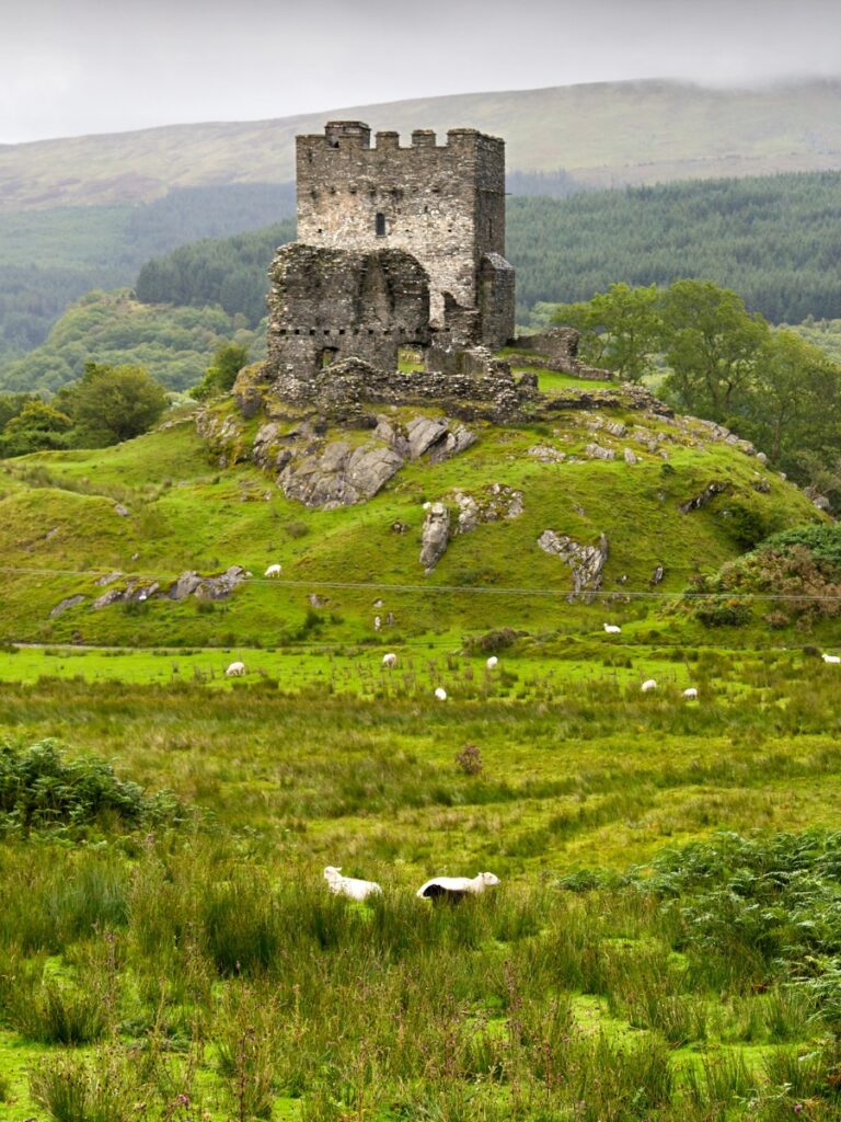 Dolwyddelan Castle