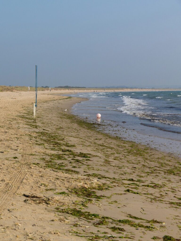 Studland Beach