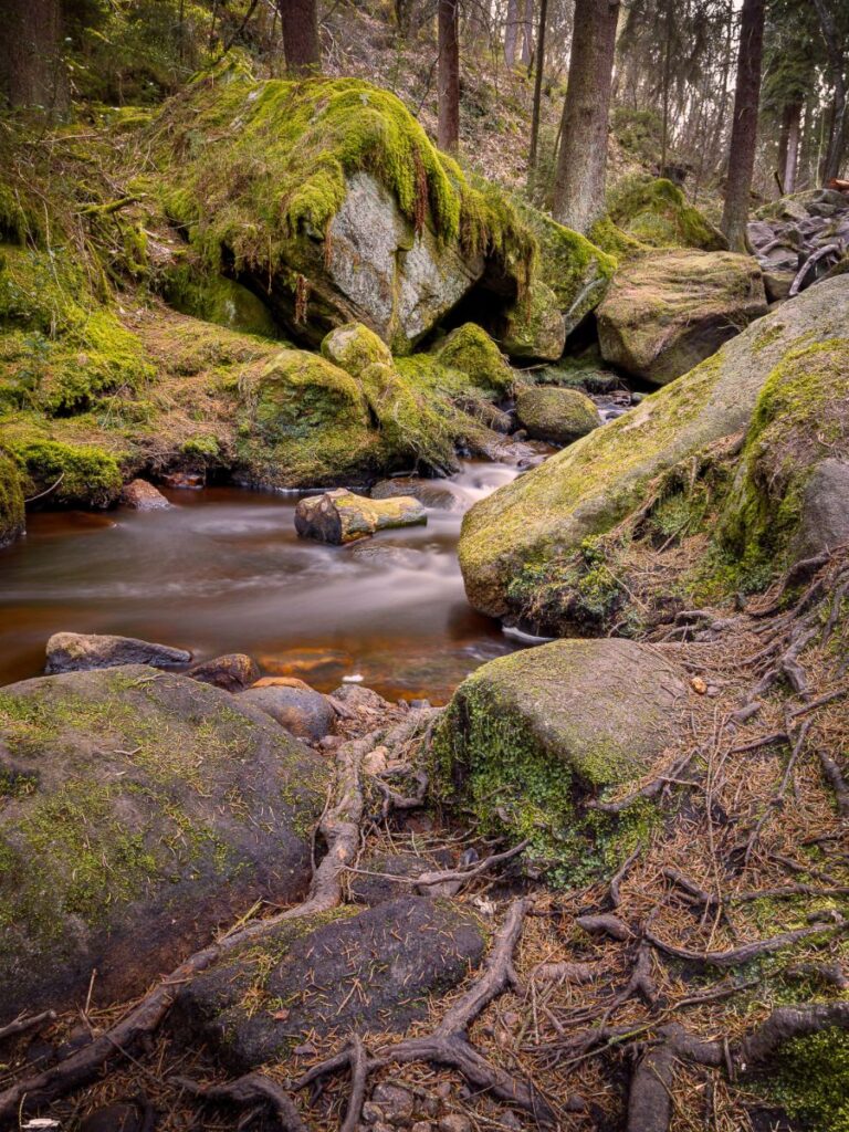 Wyming Brook Nature Reserve