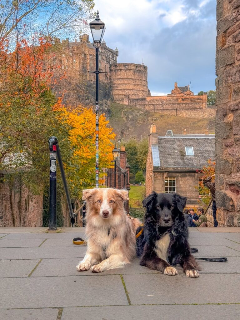 the vennel in edinburgh