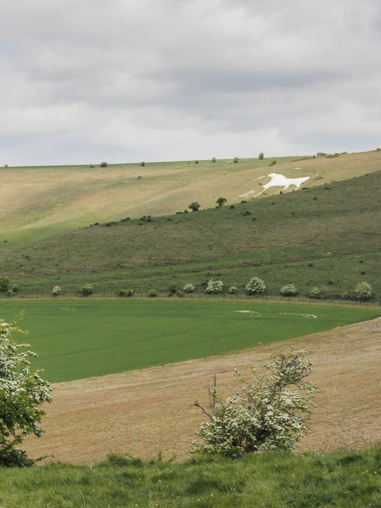 Alton Barnes White Horse