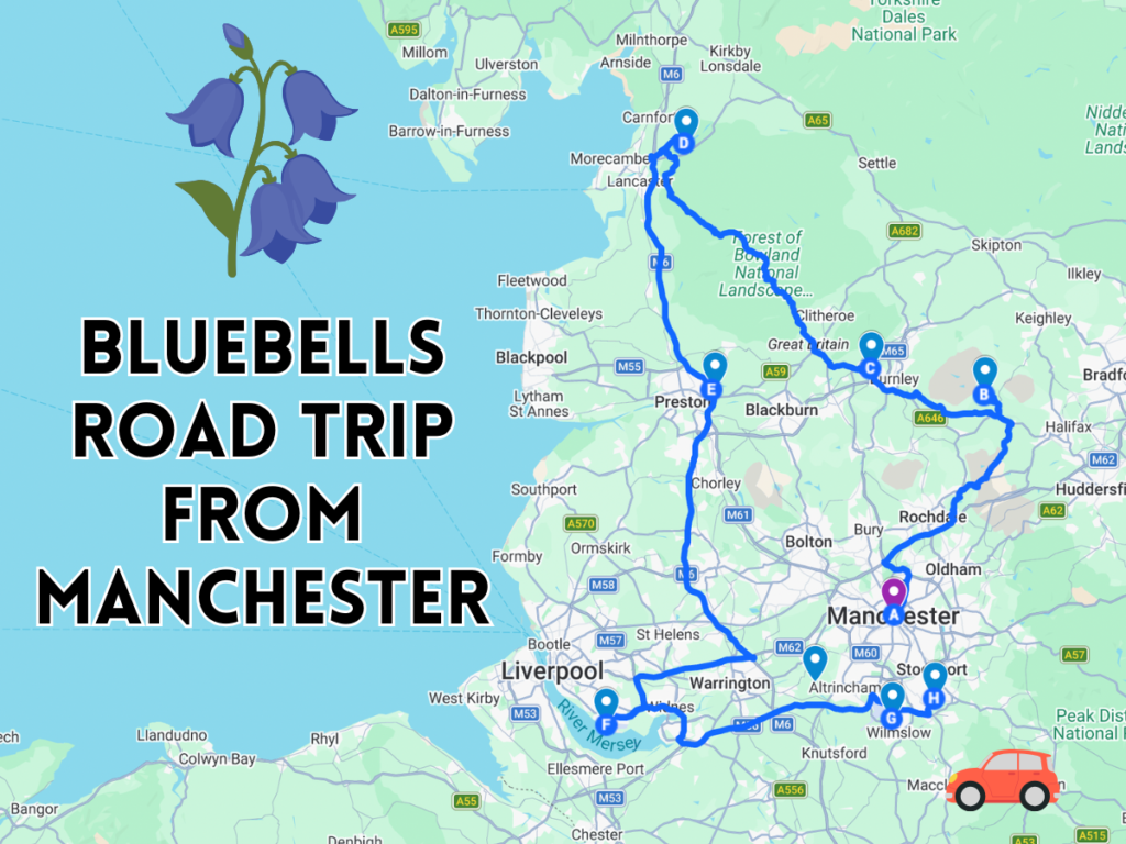 bluebells road trip from manchester