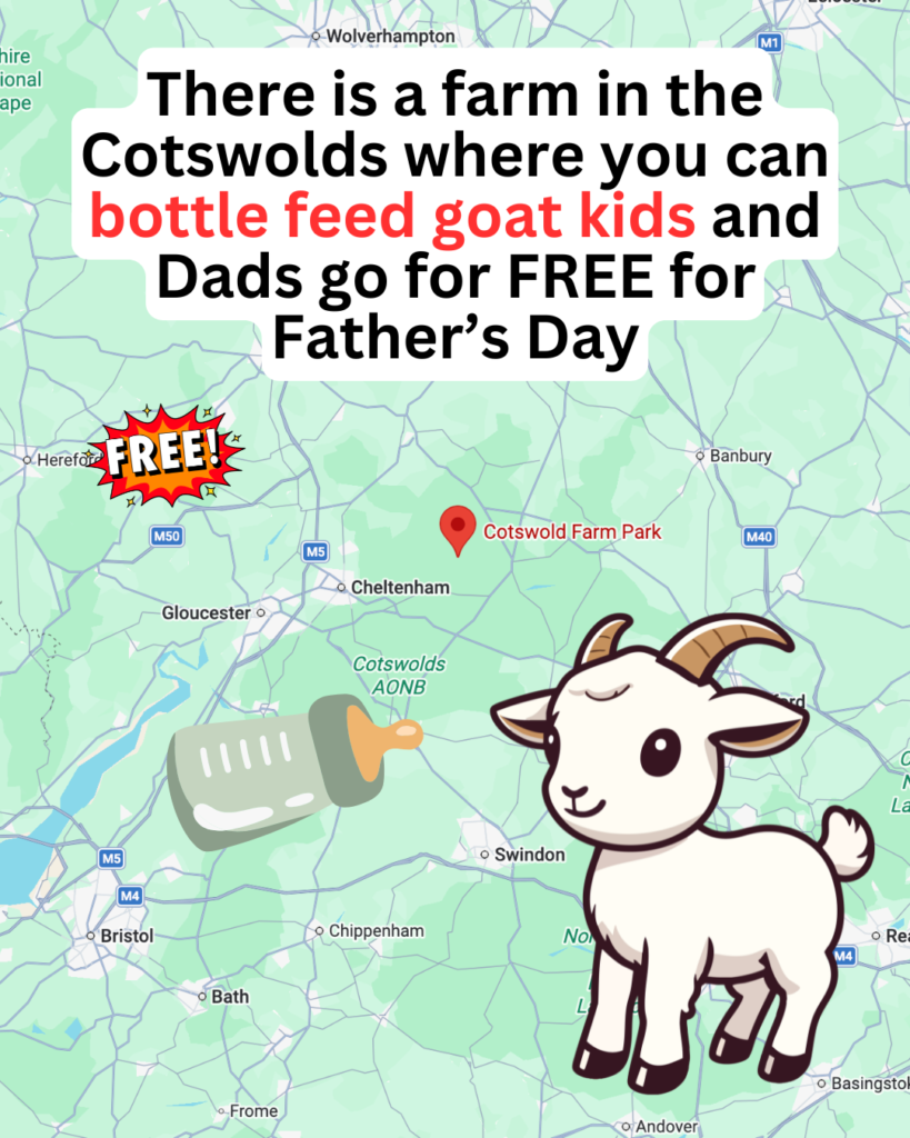 Cotswolds farm fathers day
