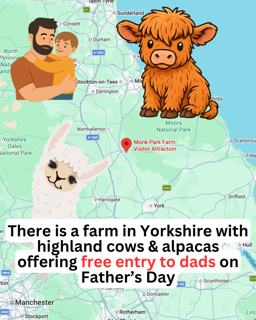 fathers day uk